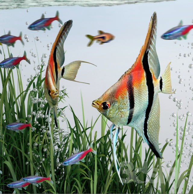 BiOrb 15L Flow Aquarium