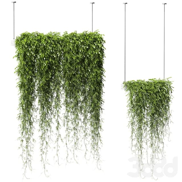 Plants in Hanging Planters v2. 2 models