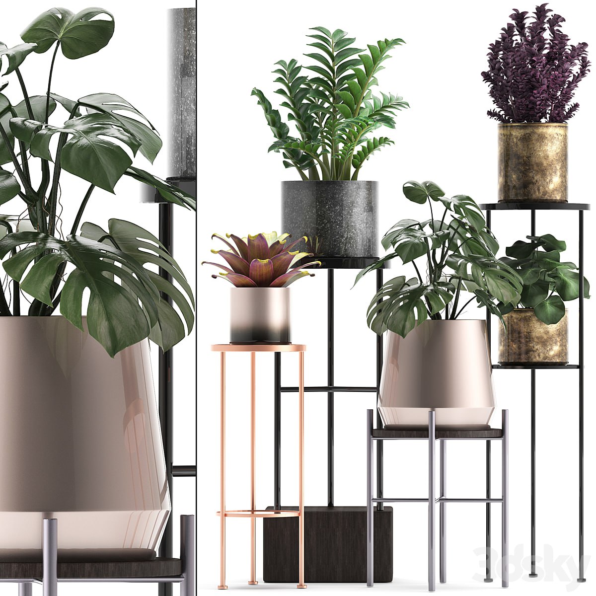 Plant collection 286. Flower shelf, pot, monstera, bromeliad, Zamioculcas, luxury, small plants, stand