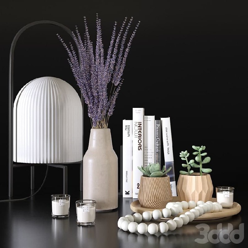 Decorative set with lavander and succulents