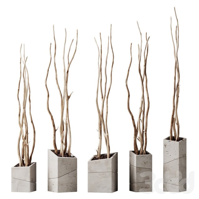 Branch decor vase slice n2 / Branches curves in beveled vases