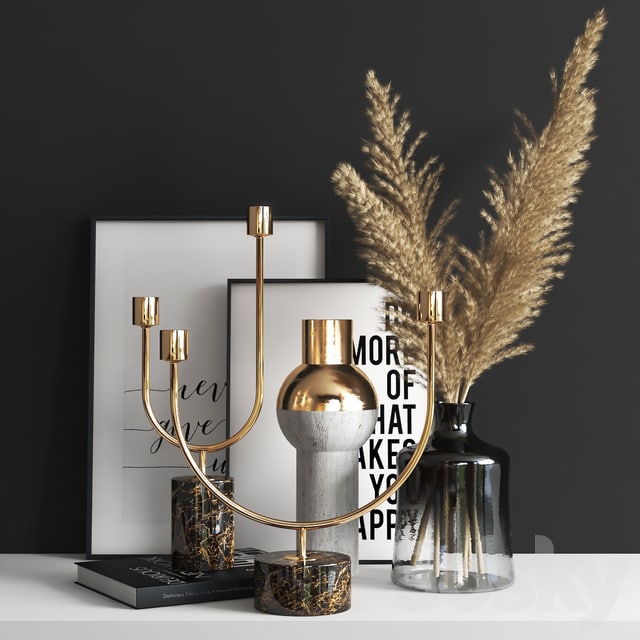 set1112 -dryed plant