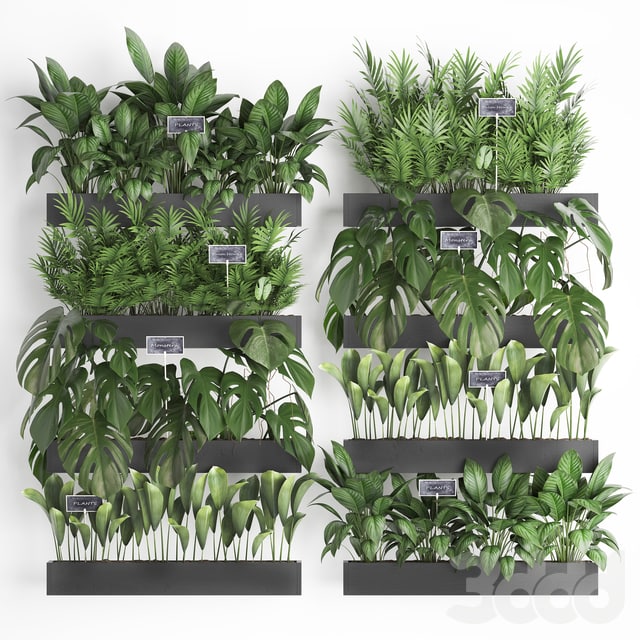 Vertical landscaping. 41