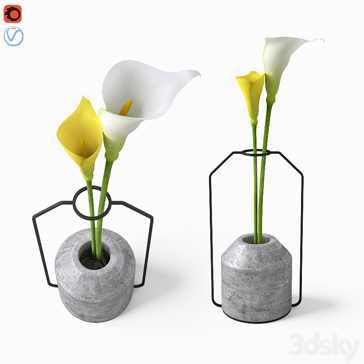 Calla in Weight Vases by Decha Archjananu / Callas