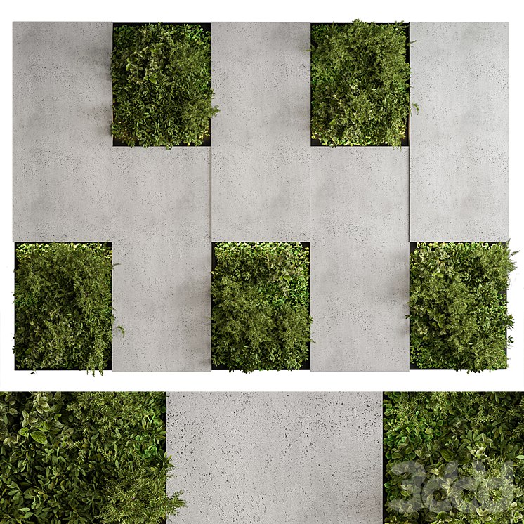 Vertical Garden - Green Wall 77