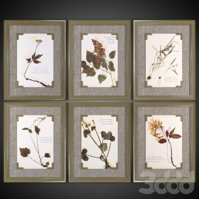 A set of pictures Ceramic Florals