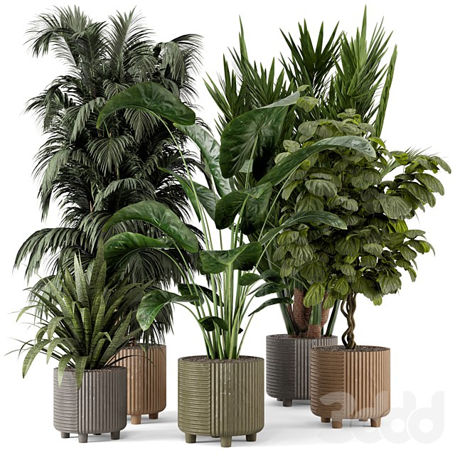 Indoor Planters in Cecilia Ficonstone Pot - Set 349