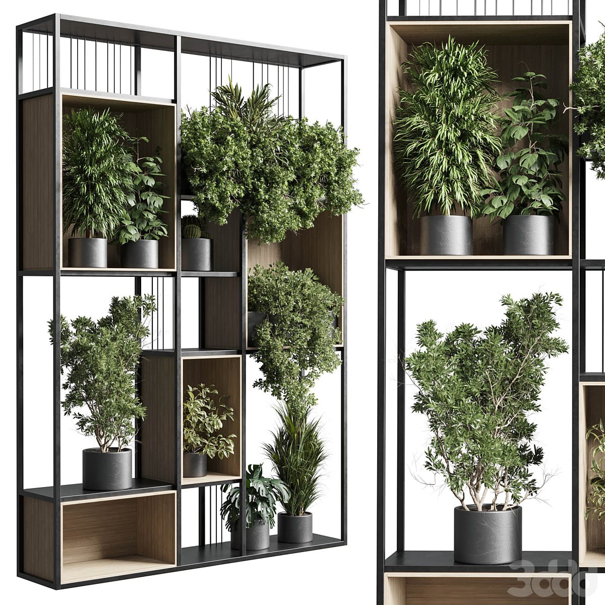 Standing metal shelf with a set 384 of plants in metal boxes corona