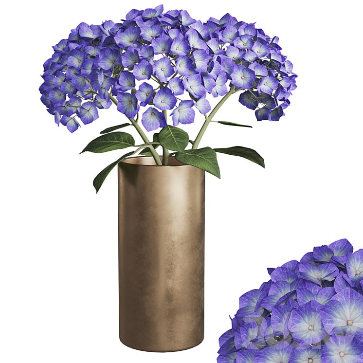 Hydrangea branches in a vase_02