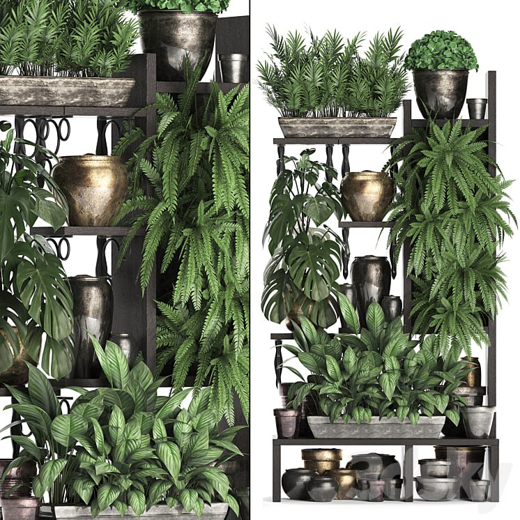 Plant Collection 368. Flower shelf, fern, monstera, flowerpot, greenery, vertical garden, phytowall, phytomodule, pots, eco design