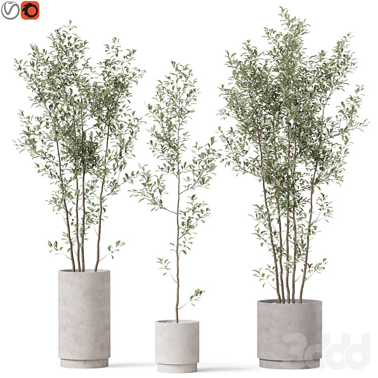 Plants collection 901