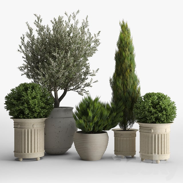 prescott planter set