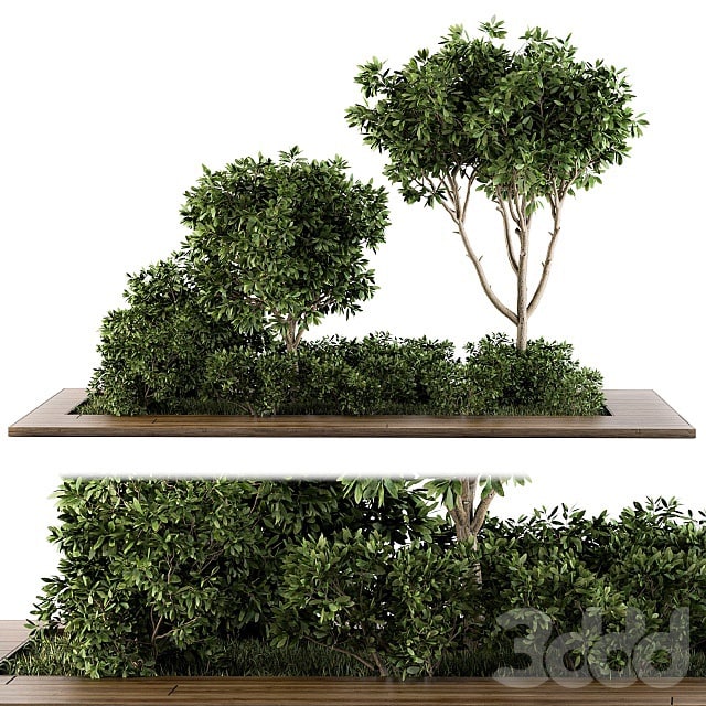 Garden set bush and Tree - Garden Set 07