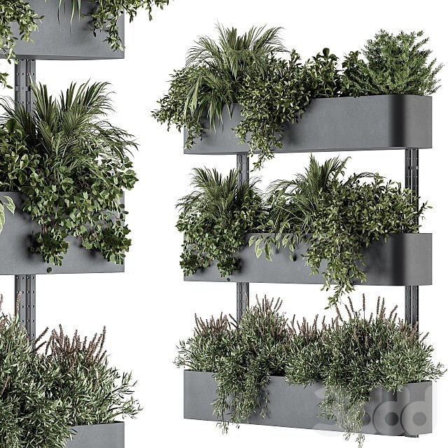 Indoor Plant Set 306 - Box Stand with Hanging Plants