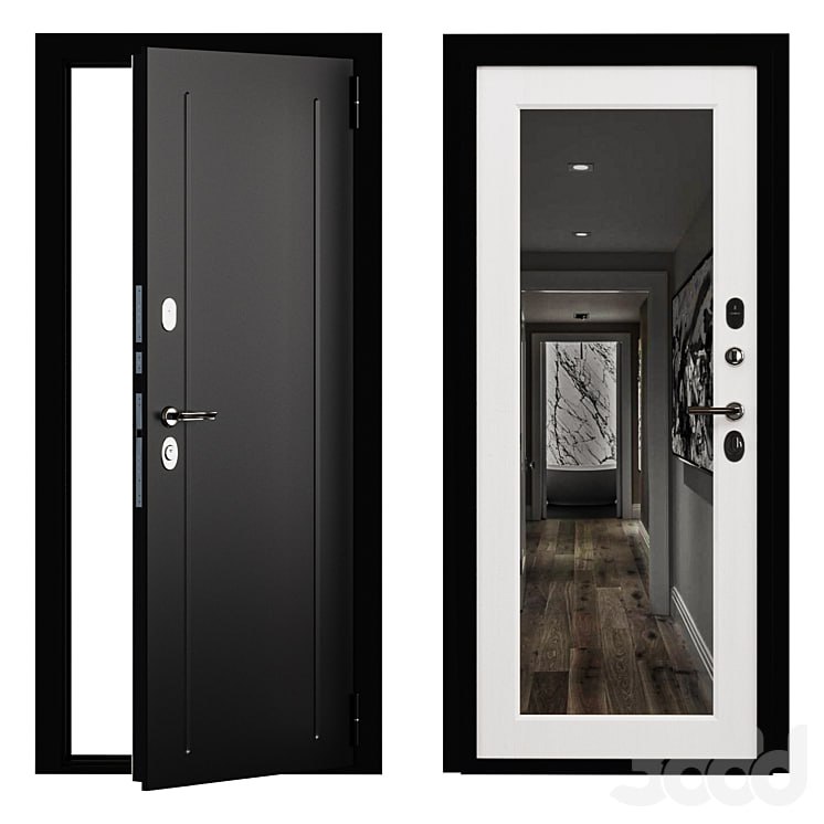 Entrance door Flush metal with a mirror