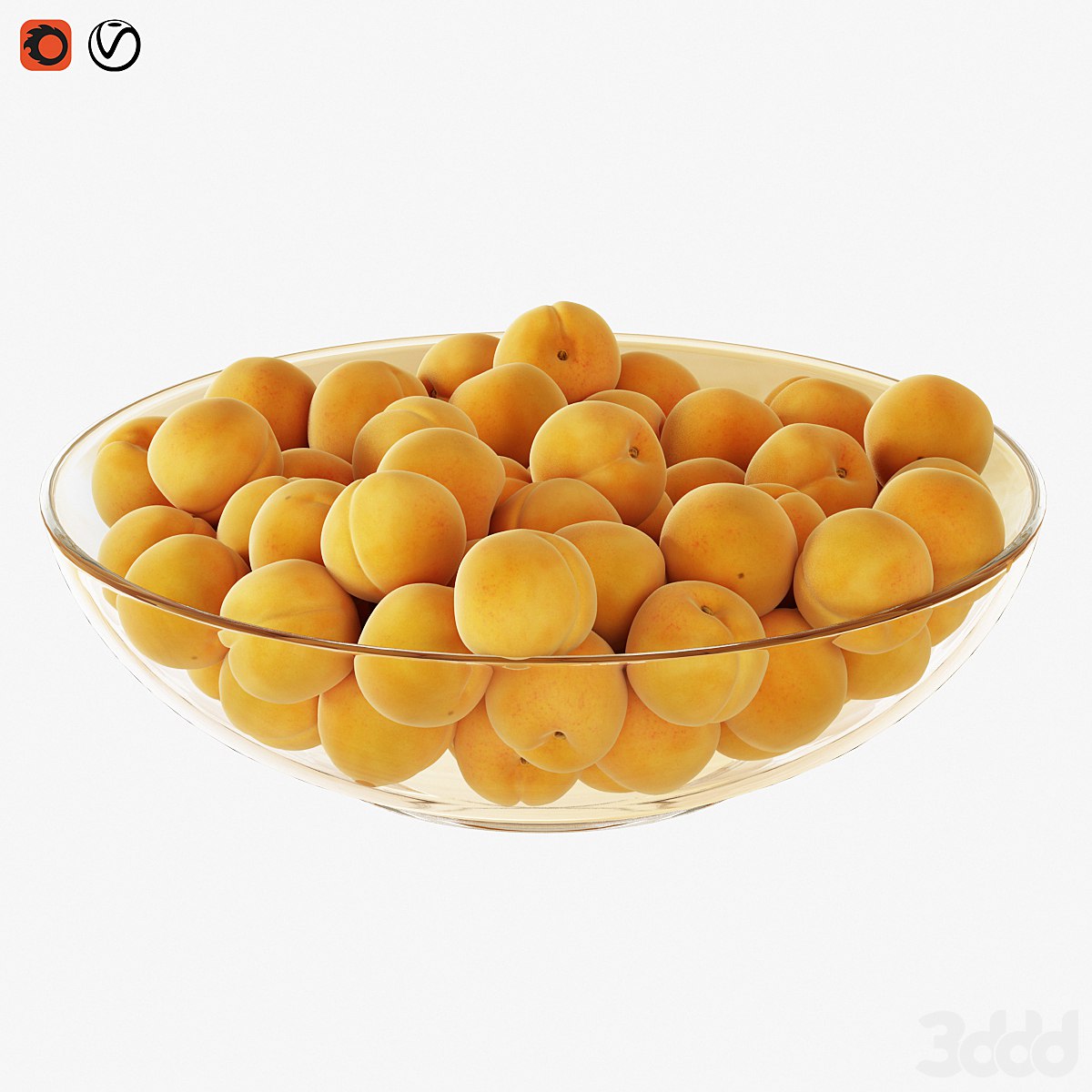 / Apricots in a vase