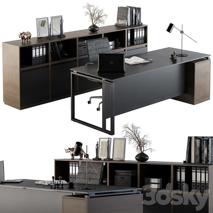 Office Furniture - Manager Set 07