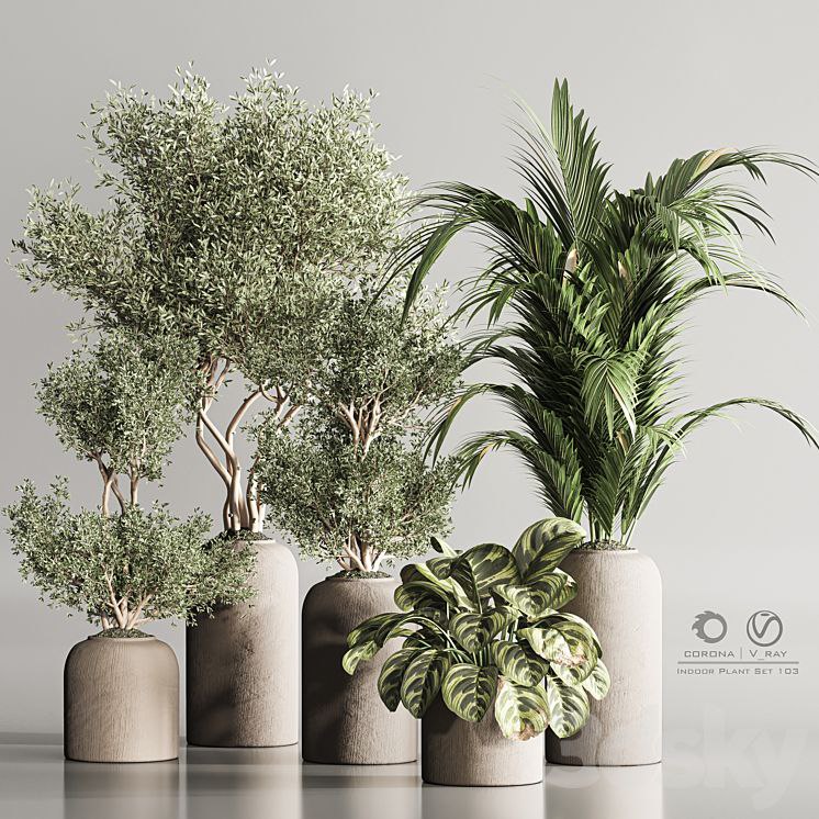 Indoor Plant Set 103