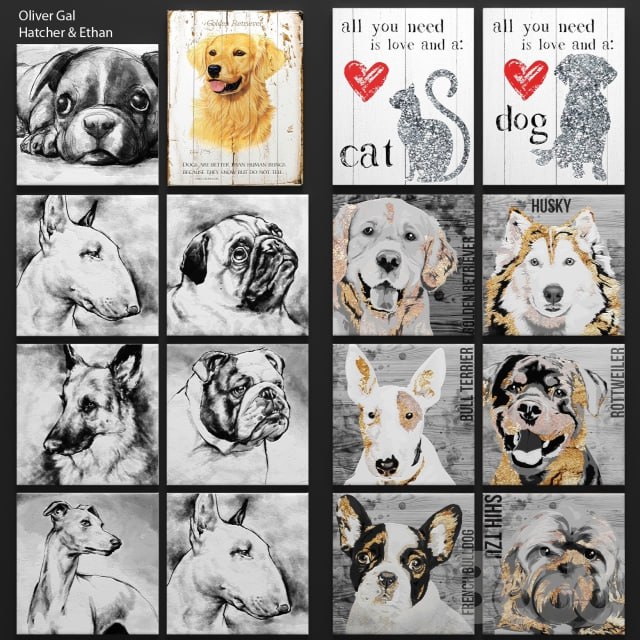 pictures of animals 00