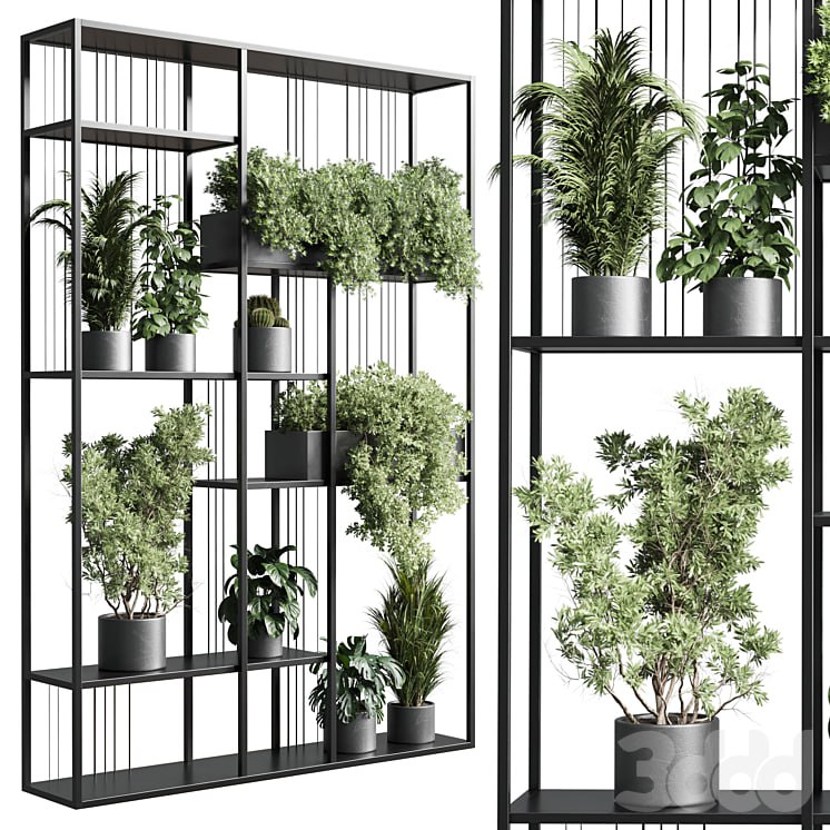 Standing metal shelf with a set of plants in concrete and metal boxes 325
