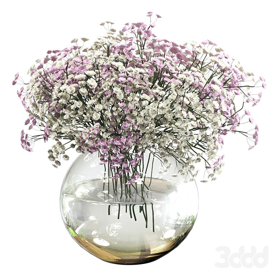 Bouquet of white and pink gypsophila