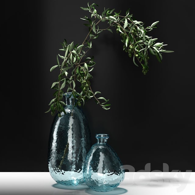 Olive branch in vase
