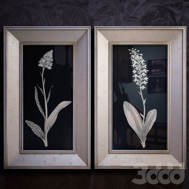 Antique-Floral-Study