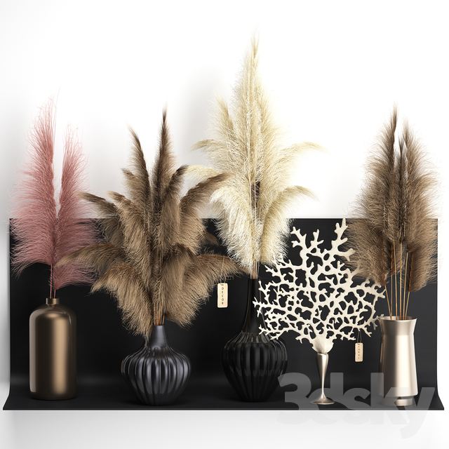 Decorative set 11. Black metal shelf, loft, dried flower, pampas grass, coral, vase, decor