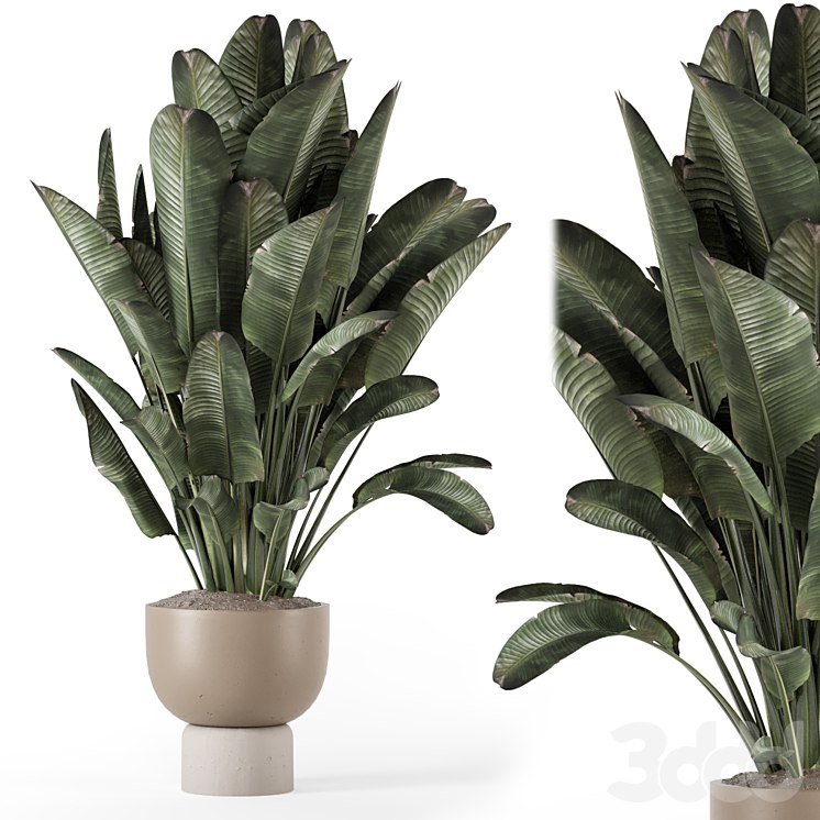 Indoor Plants in Ferm Living Bau Pot Large - Set 1507