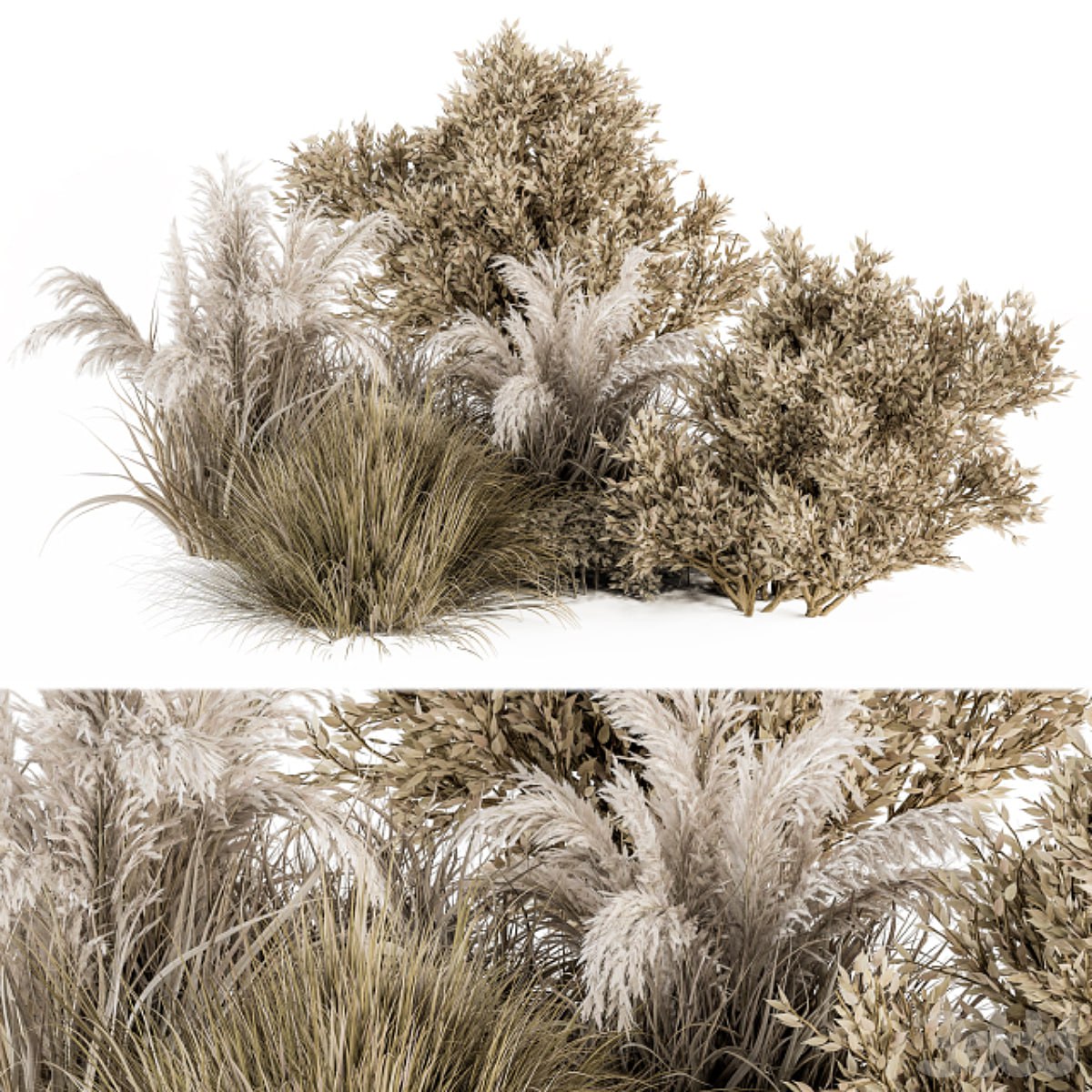 Dried Wild Plants Bush - Bush Set 36