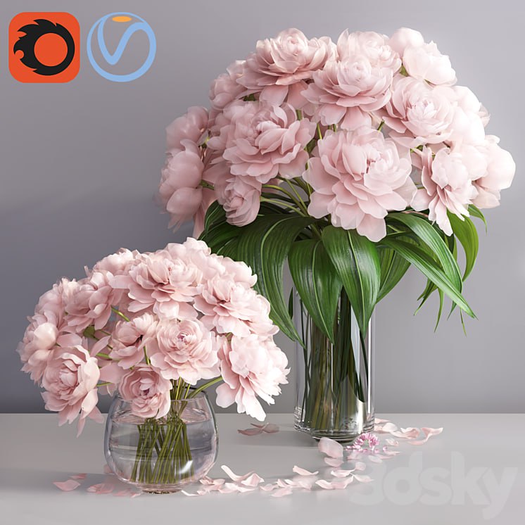 pastel pink peonies in 2 glass vases set