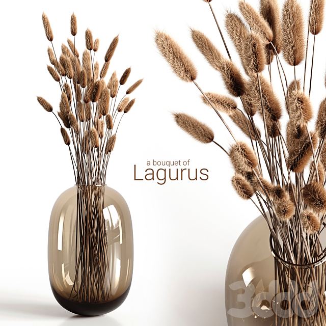 A bouquet of lagurus