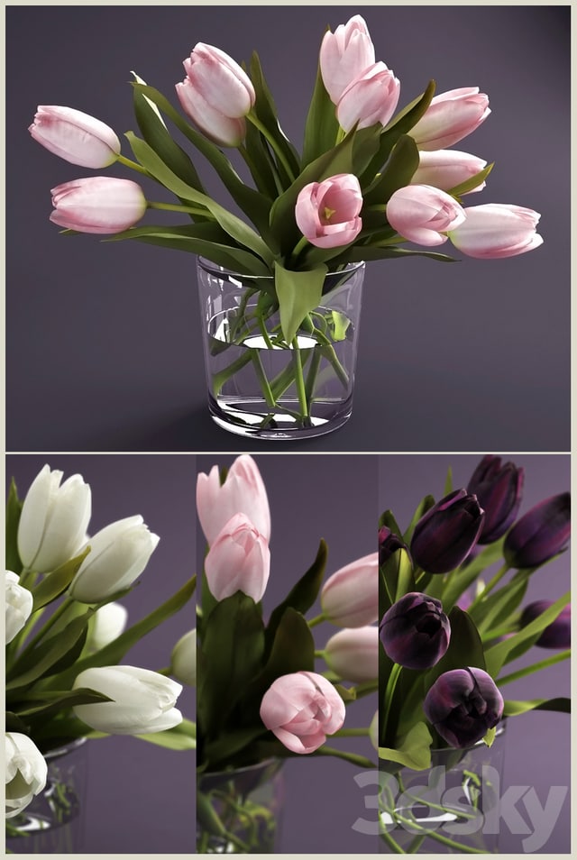 Bouquet of tulips