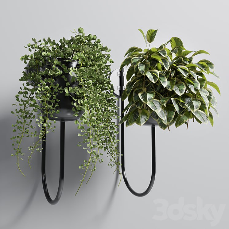 Indoor plant plant wall metal vase 01