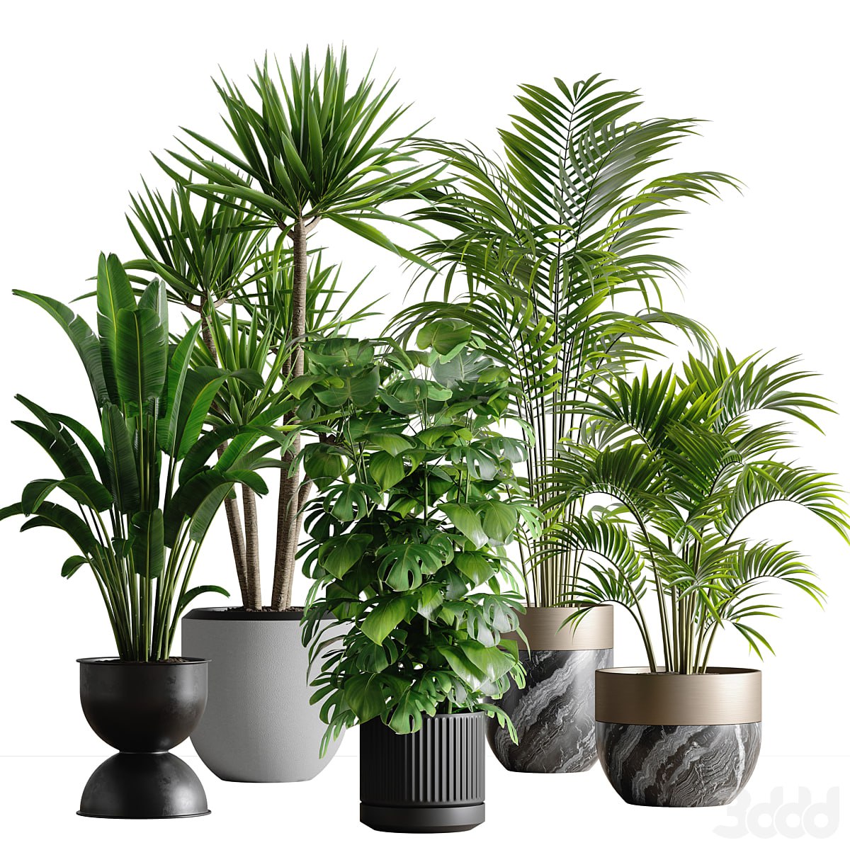 indoor plant set 53
