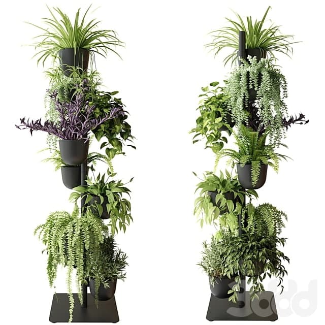 Rack with indoor plants in pots