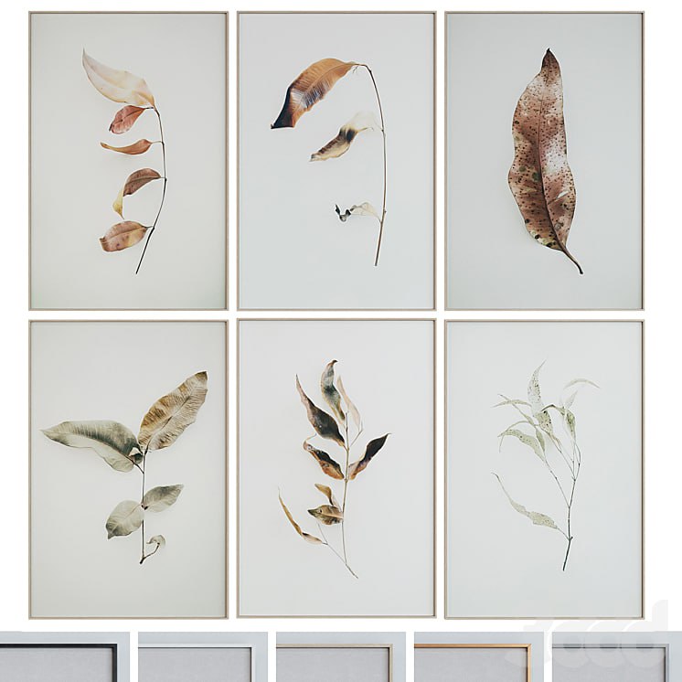 Picture Frame Set 1005