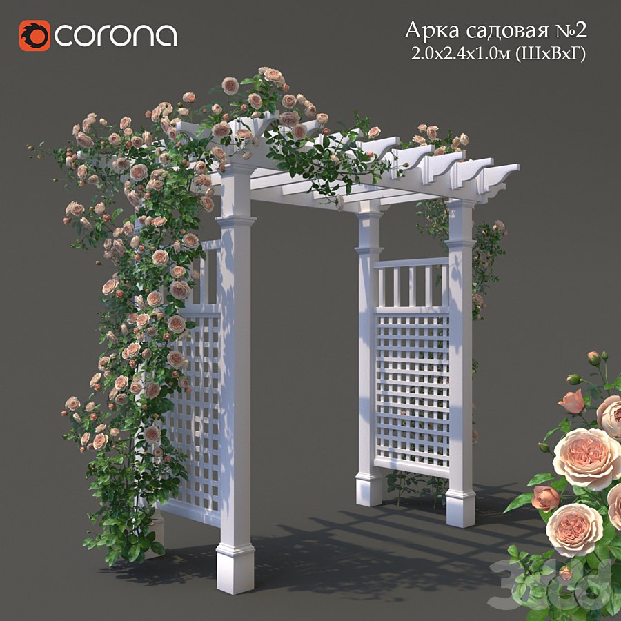 Garden Arch No. 2. Climbing Peony Rose