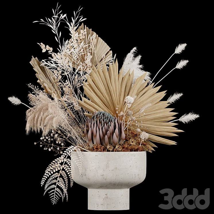 Flowering plants set12