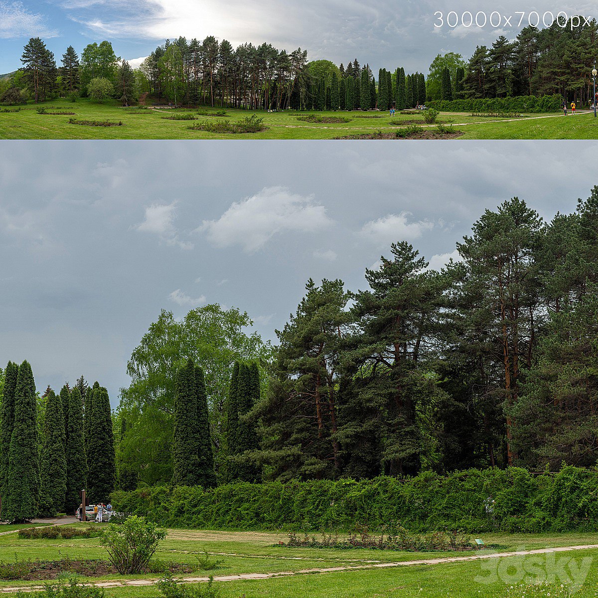 Panorama from the park. 30k