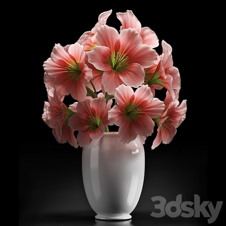 PINK AMARYLLIS