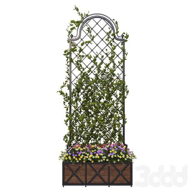 Pergola with flowers