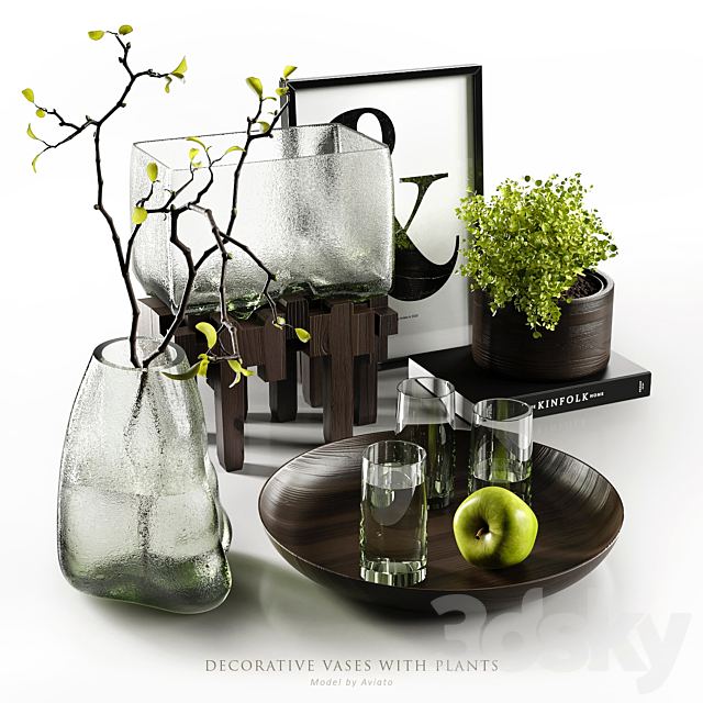 Decorative vases with plants