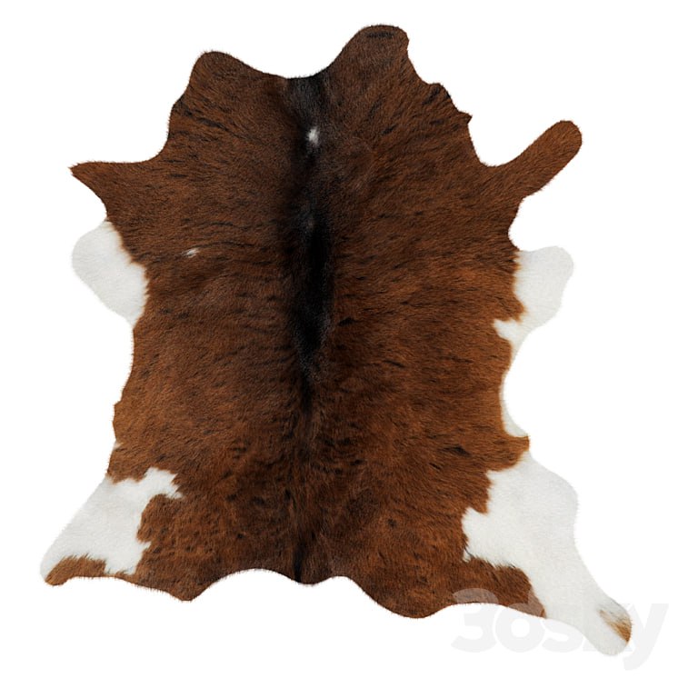 Animal Skin rug 13