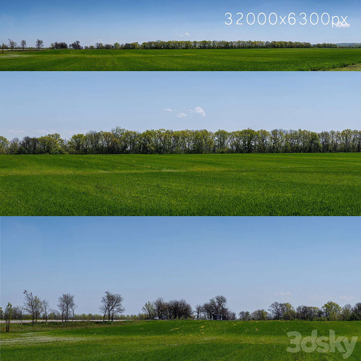 Panorama of a green field with flowers and trees