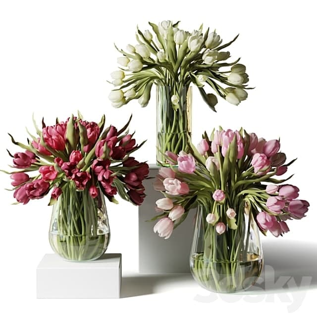 Red, pink and white tulips in glass vases -style