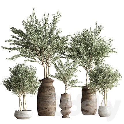 indoor plant set 23
