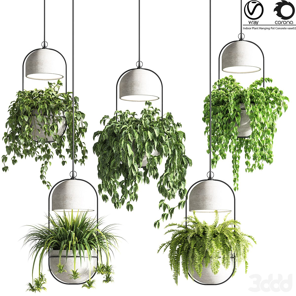 Indoor_plants_hanging_pot_concrete_vase_02