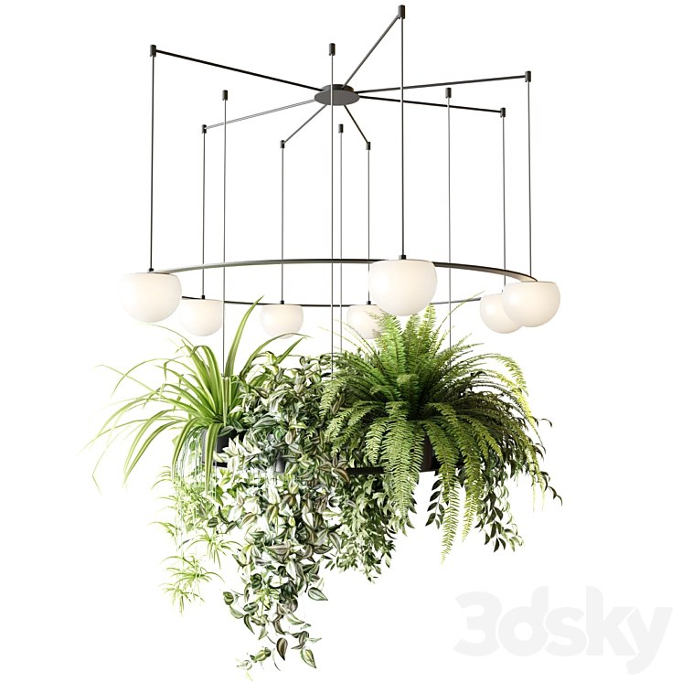 CIRC Suspension lamps Pendants chandelier with ampelous plants