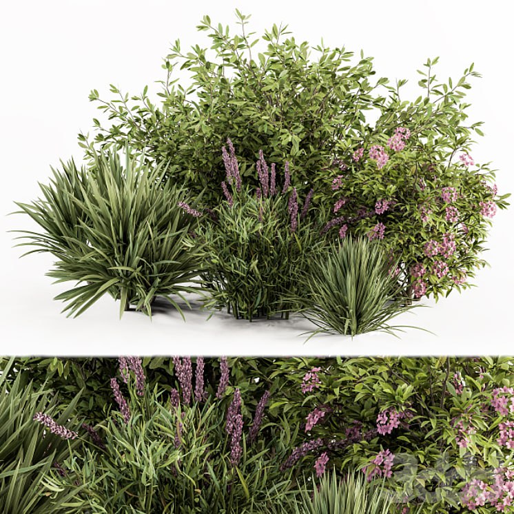 Mixed Plant Bush Green and Purple - Bush Set 50